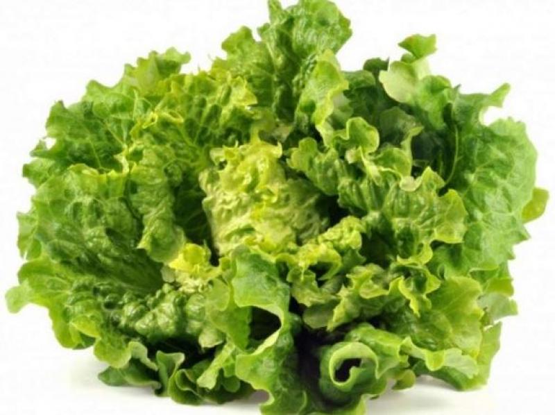 Photo d'ilustration de la recette : Salade verte à l'échalotte